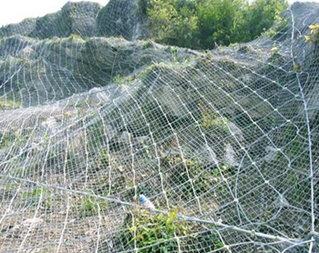 ߅�·��o�W(w��ng),߅�·��o�W(w��ng)�S��